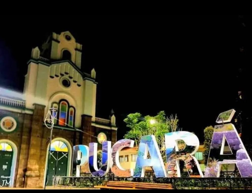 pucarA